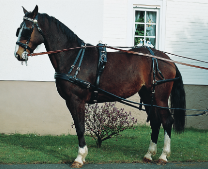 Driving harness Exklusiv Single