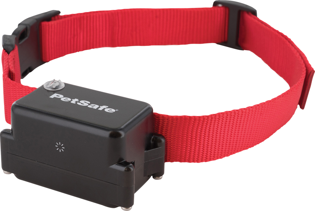 Petsafe receiver collar for stubborn dogs
